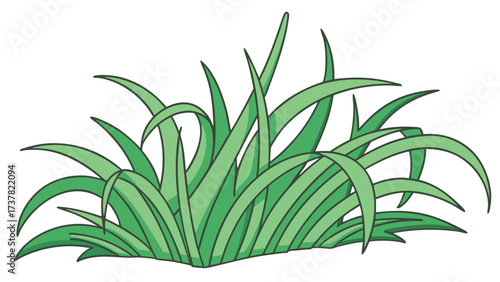 Light green grass blades are bundled and growing in a clump, transparent background