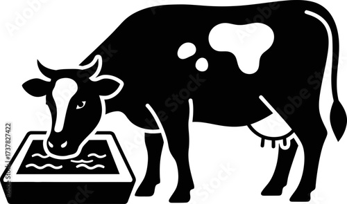 Holstein cow drinking water from trough. Bovine livestock farming and dairy production concept. Simple flat vector icon.