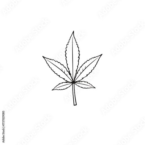 Cannabis leaf in vector style, simple marijuana leaf illustration, leaf symbol for medical or recreational use.