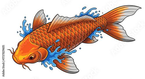 Dynamic illustration of orange koi fish swimming with water splashes on white backdrop