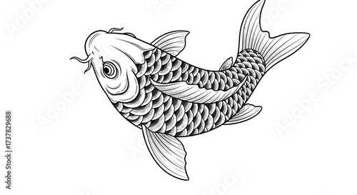 Detailed line drawing of a koi fish gracefully swimming in an artistic presentation with scales