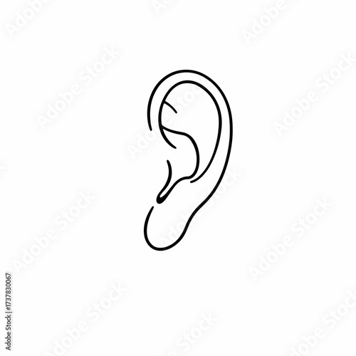 Detailed ear outline, anatomical structure showcasing human body part. Ear detailed illustration emphasizes senses of hearing and balance, vital for physical health.