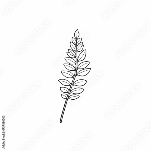 Minimalist leaf outline on white background, leaf outline features clean lines. Branch and leaf outline are featured in this design element.