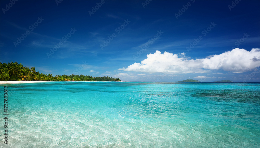 Fototapeta premium Tropical Beach Water Background