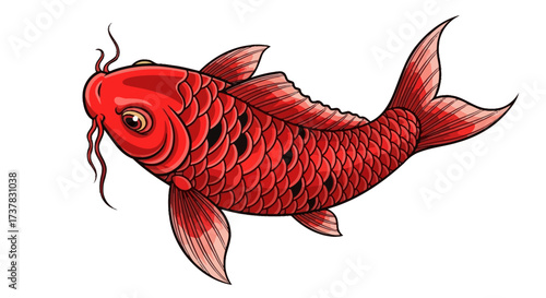 Vibrant crimson koi fish, symbolic of luck, prosperity and longevity with smooth scales