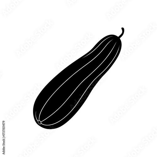 Silhouette of a zucchini with white lines on transparent background