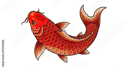 Vibrant red and orange Koi fish illustration with detailed scales and flowing fins