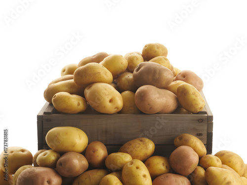 Large pile of fresh mixed variety potatoes overflowing from a rustic wooden box, isolated on transparent background.