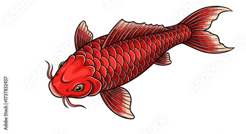 Vivid Red Koi Fish Illustration Displaying Traditional Japanese Art Aesthetics and Symbolism