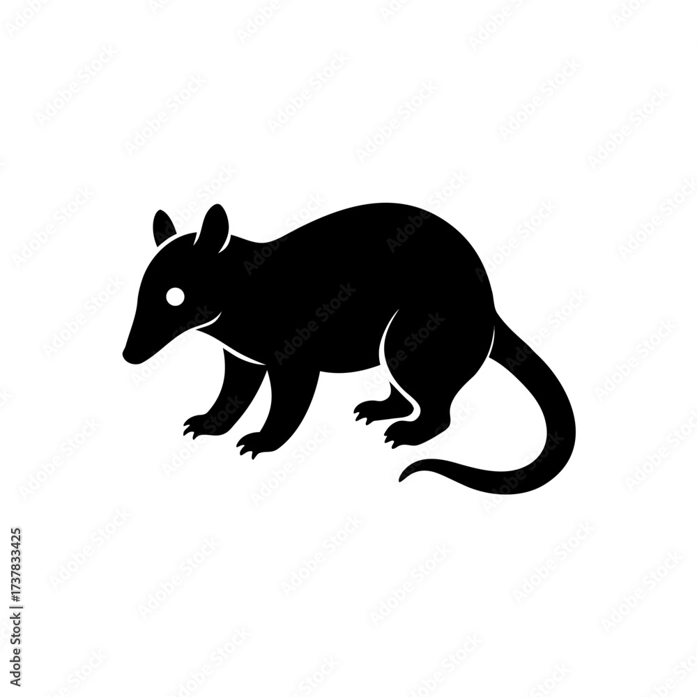 Fototapeta premium Silhouette of a small opossum like animal on transparent background