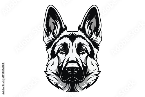 Vector art of detailed monochrome illustration of a german shepherds head, showcasing its alert expression and distinctive markings