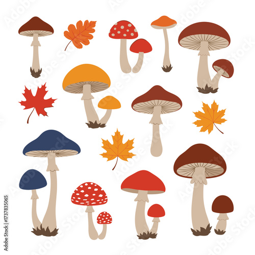 A collection of colorful mushrooms and autumn leaves for a fall forest theme.