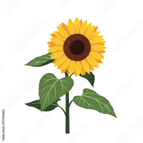 A vibrant sunflower stands tall with large green leaves and a dark brown center surrounded by bright yellow petals.