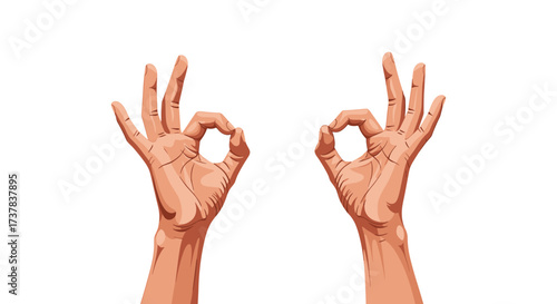 Two hands making the ok gesture in a white background.