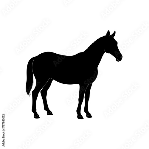 Silhouette of a standing horse in black on transparent background