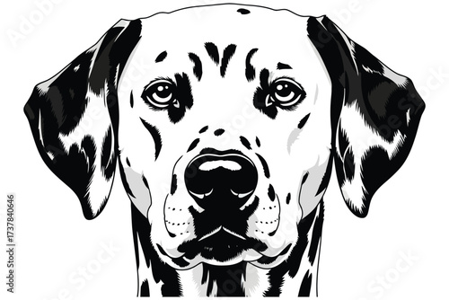 Vector art of closeup illustration of a black and white dalmatian dogs head, , showcasing its distinctive spots and expressive eyes in a vector format