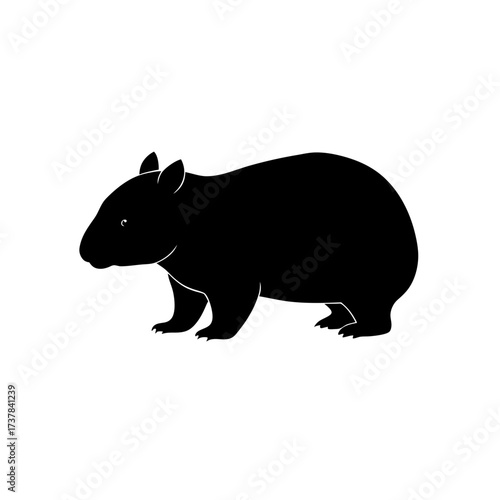 Black silhouette of a wombat standing side on transparent background