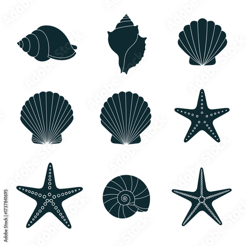 Collection of various seashells and starfish illustrations in silhouette.