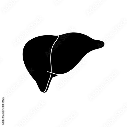 Silhouette depiction of a human liver on transparent background