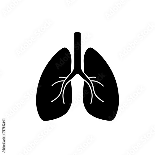 Silhouette illustration of human lungs on transparent background
