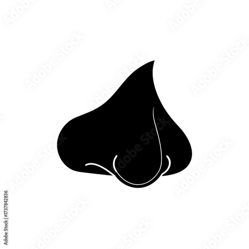 Black silhouette of a human nose profile on transparent background
