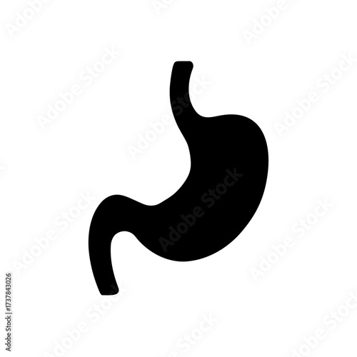 Silhouette of human stomach organ anatomy on transparent background