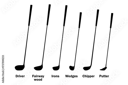 types of golf clubs icon set. Six types of golf clubs are shown, clearly labeled, against a plain background. Vector illustration