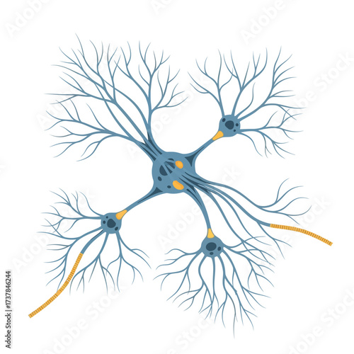 Illustration of interconnected neurons forming network on white background