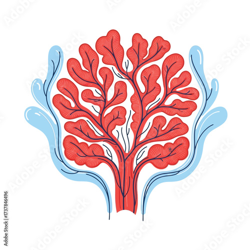 Stylized vector illustration displaying a human choroid plexus structure