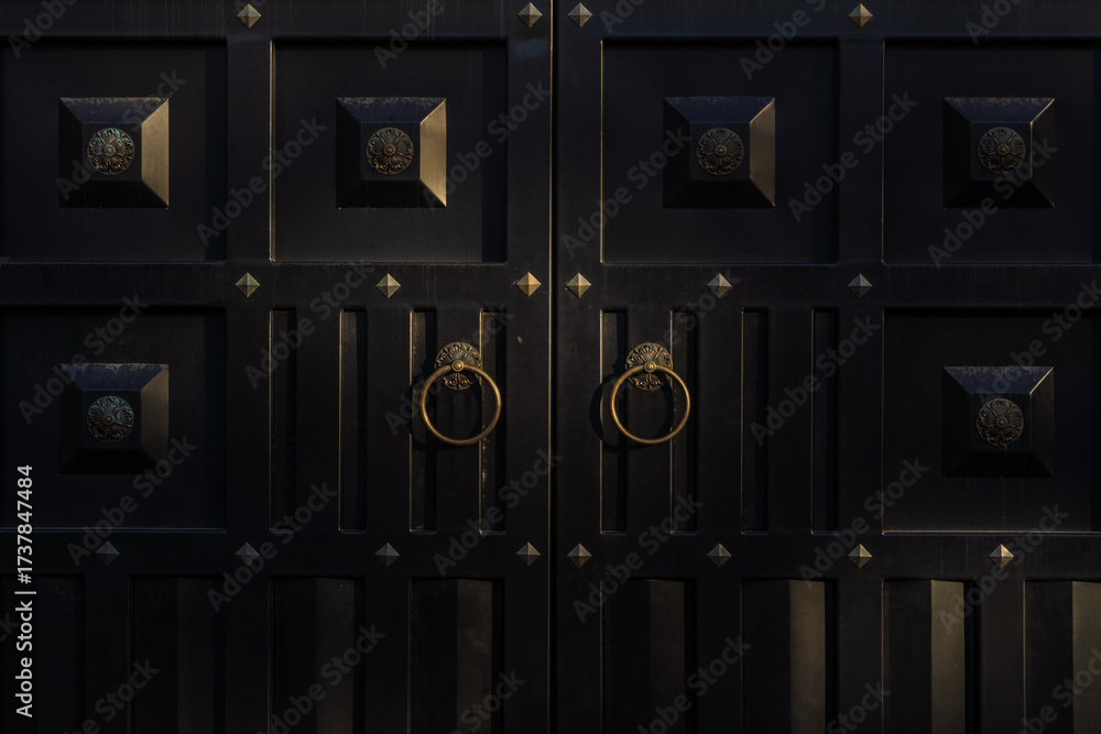 Fototapeta premium Black hard convex door expensive finish