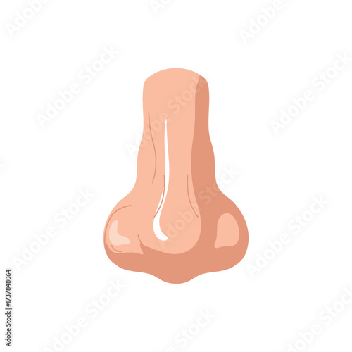Detailed Vector Illustration of a Human Nose on a Clean White Backdrop