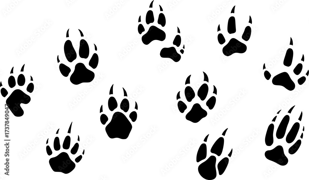 Fototapeta premium Animal Footprint Silhouette, Animal Footprint, Animal Footprint Vector, Animal Tracks, Animal Tracks Silhouette