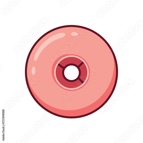 Simplified anatomical depiction of the human cervix for medical illustration