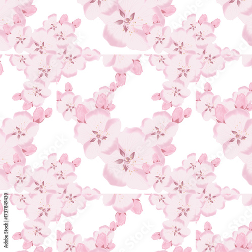 pink cherry blossom