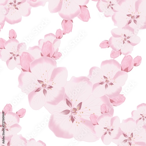 pink cherry blossom