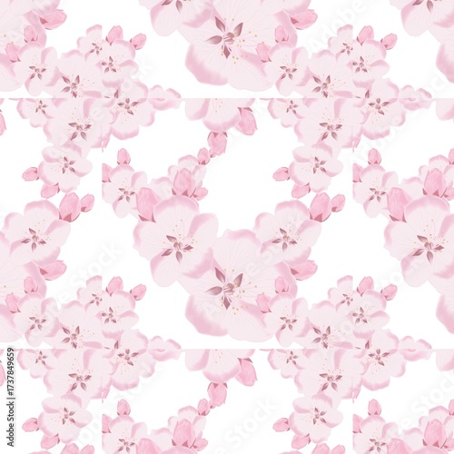 pink cherry blossom