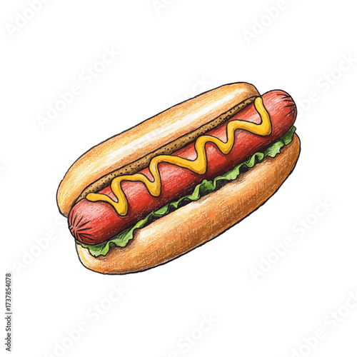 hotdog hand drawn illustration