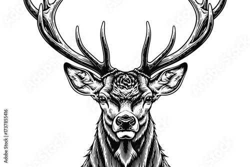 Vector art of a detailed black and white illustration of a deer head with large antlers, showcasing its majestic and powerful presence