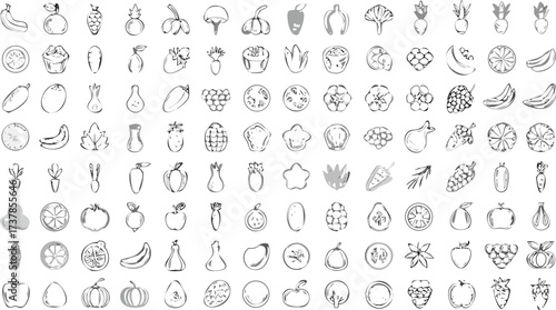 Collection of hand drawn sketched fruits and vegetables in a grid pattern on a white background surface
