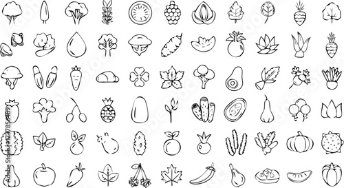 Illustration showing a variety of different fruits and vegetables in a simple outline style drawing format