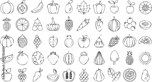 Illustration of various fruits and vegetables in a sketch style with pumpkins and apples and grapes too
