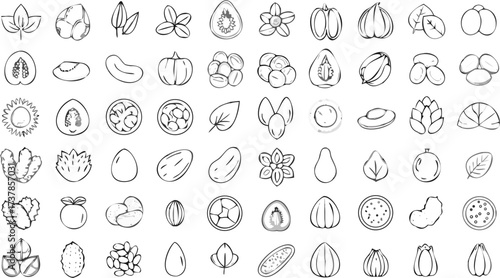 Collection of sketched fruits, vegetables, nuts, and seeds in black and white outline style drawing