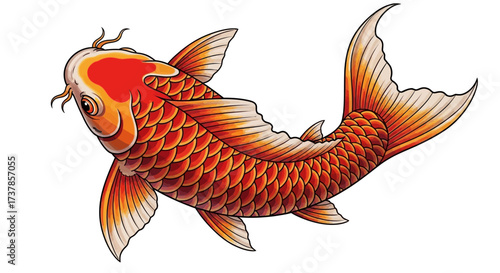 Elegant koi fish illustration with traditional Japanese tattoo aesthetic and graceful movement