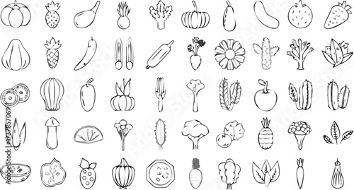 Illustration of various fruits vegetables and plants in black and white line art style on a white background