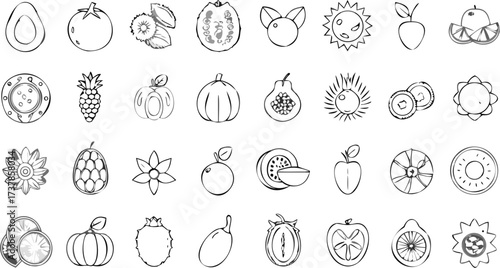Outlined drawings of various fruits vegetables and suns in a grid pattern on a white background design
