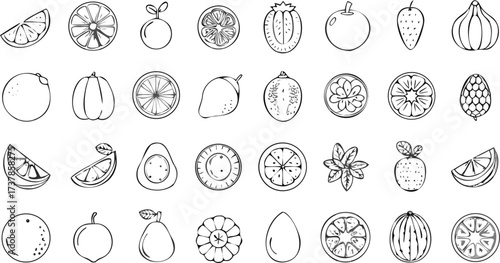 Illustration of various fruits and vegetables including citrus fruits, berries, and other produce items