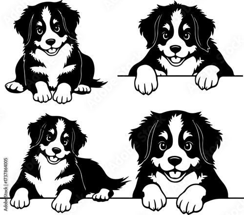 Happy Black and White Herding Dog Set
