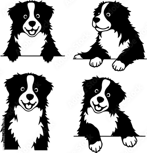 Happy Black and White Herding Dog Set