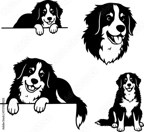 Happy Black and White Herding Dog Set