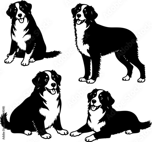 Happy Black and White Herding Dog Set